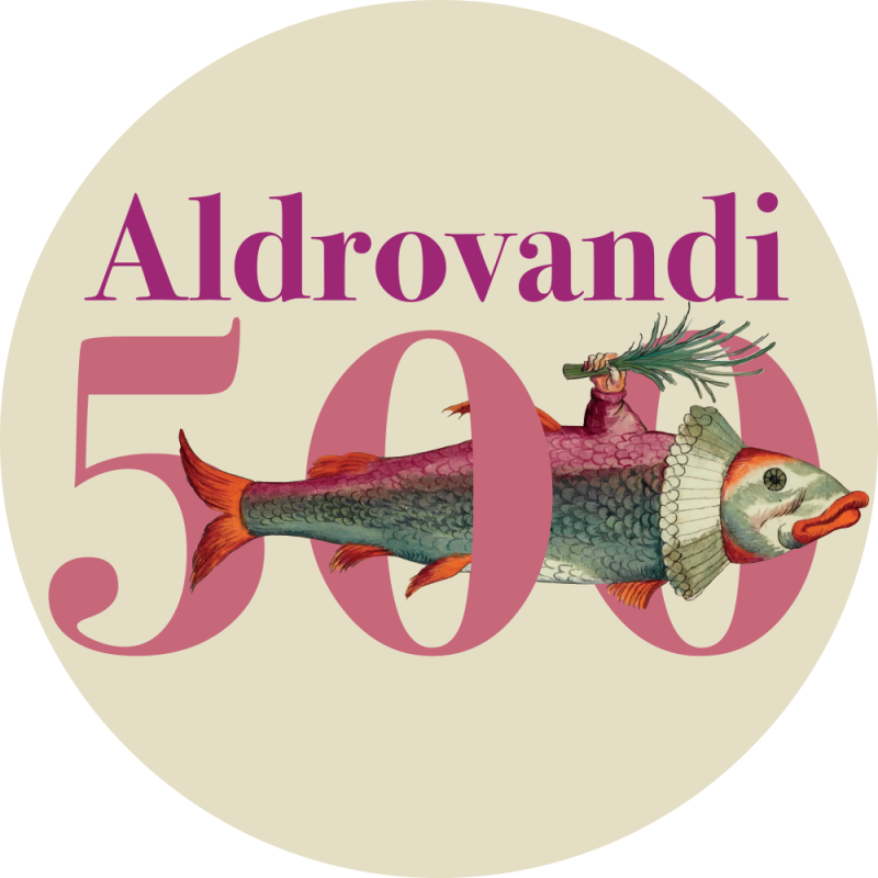 500 Aldrovandi