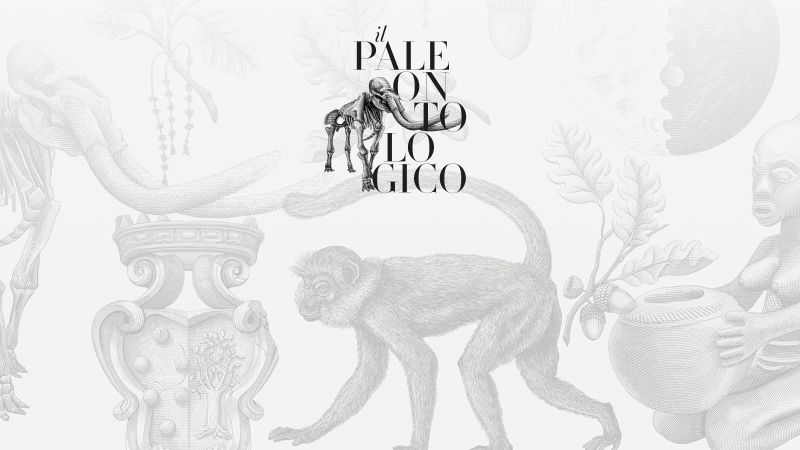 Museo Paleontologico di Firenze - App e Accessibilità